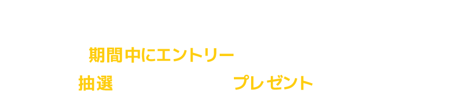 夢を、現実に。 理想の住まいを叶えるチャンス! 期間中にエントリーいただいた方の中から、抽選で以下の建築資金をプレゼントいたします。