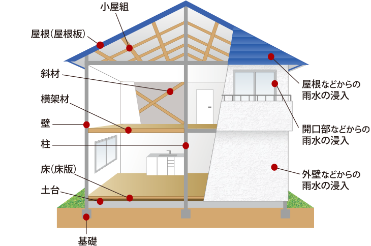 建物の保証対象となる部分を示した図。小屋組、屋根(屋根板)、斜材、横架材、壁、柱、床(床版)、土台、基礎と屋根などからの雨水の浸入、開口部などからの雨水の浸入、外壁などからの雨水の浸入が対象